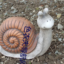 色农夫导航网站