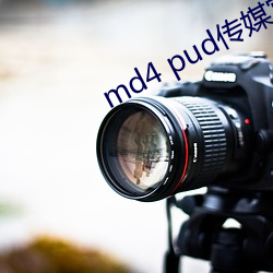 md4 pud传媒官网