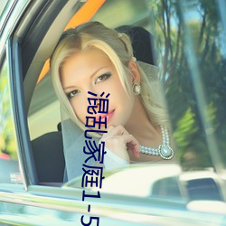 混(混)乱(亂)家(家)庭1-5