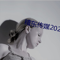 精东传媒2023精品密友旧版