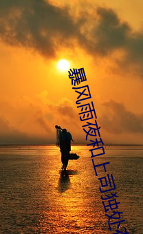 暴风雨夜和(hé)上(shàng)司独处在线观(guān)