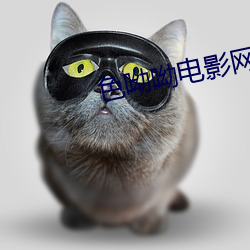 色呦呦電影網