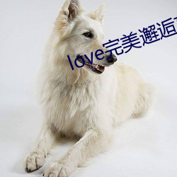 love完美(měi)邂逅直播app下载