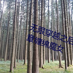 无限穿越之后宫 全文阅读 第三十三章缠绵魔女