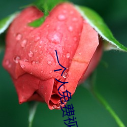 一个人免费(fèi)视频在线观看(kàn)动
