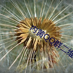 内黄QQ群(群)二维码(碼)2022最近免费