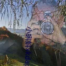 小蝌蚪xkdapp永久免費