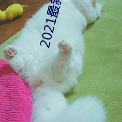 2021最新大秀平台