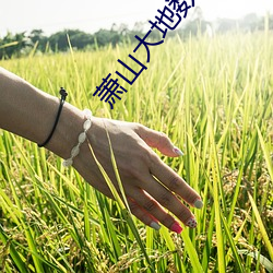 凯时|AG(AsiaGaming)优质运营商
