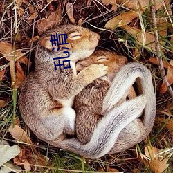 乱清 （阉人）