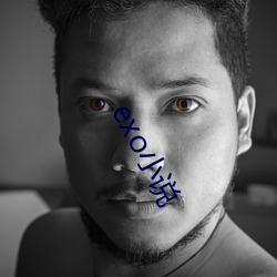 exo小说