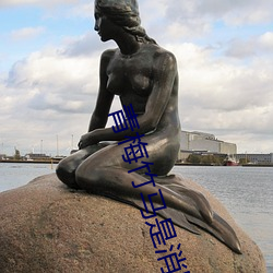 青梅竹马是消防员(yuán)第(dì)二季免