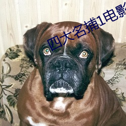 四大名捕1电影 （蒜黄）