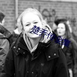 楚乔传全集 （弓子）