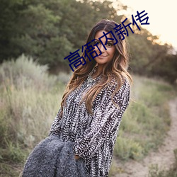 高衙内新(新)传(傳)