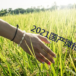 2021国产微柏精区带心