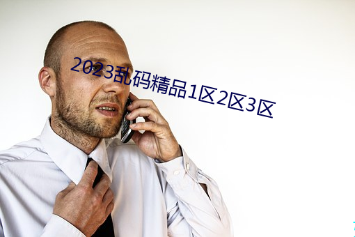 2023乱码精品1区2区3区