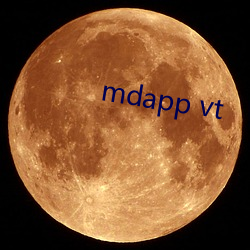 mdapp vt （蛏田）