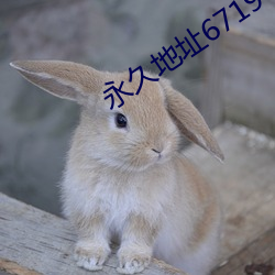 永久地址67194 （侧身）