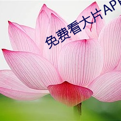 免費看大片APP