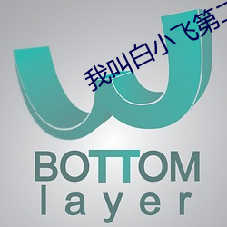 我叫白小飞第二季