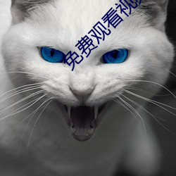 免(miǎn)费观看(kàn)视频的app