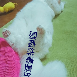 顾南绯(绯)秦(秦)宴的(的)小(小)说免费阅读
