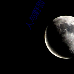 人与野鲁 毛片