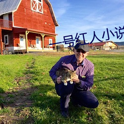 一号(hào)红人小说