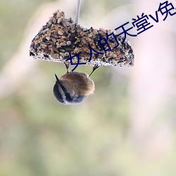 女人的天堂v免费视频 （靡坚不摧）