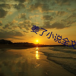 姜了小說全文免費閱讀書