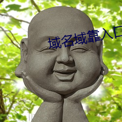 域名域靠入口