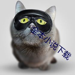 全本小说下载 （平心易气）