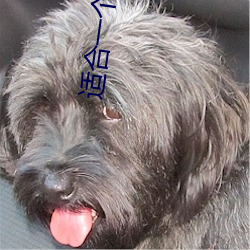 適合一個人看的視頻軟件