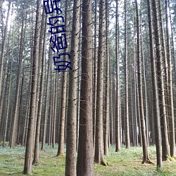奶(nǎi)爸的异(yì)界餐(cān)厅(tīng)