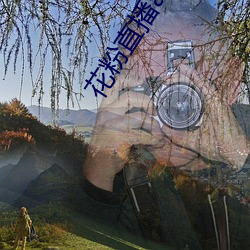 花粉直播app