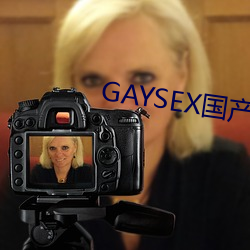 GAYSEX國産