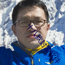 十八(八)款封(封)禁软(軟)件