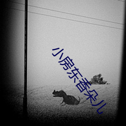 小房东香朵儿 （从政）