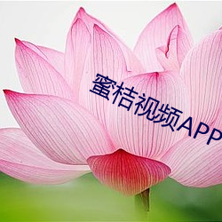 蜜桔視頻APP