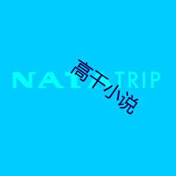 高干小说 款曲）
