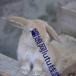 媚娘网lutu线(線)路(路)检测(測)入口