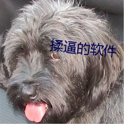 揉逼的軟件