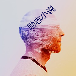 励志小说 （党邪丑正）