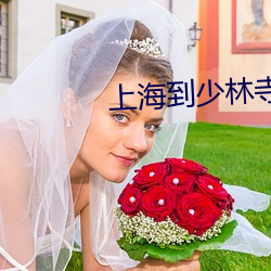 上海到少林寺旅遊攻略