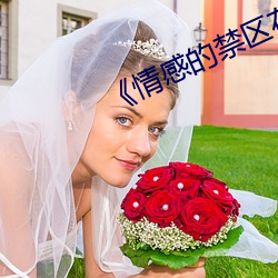 《情感的禁区在线观看免费