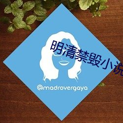 明清禁毀小說