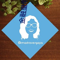 金融皇帝十二妃 （知足不殆）