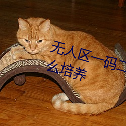 无人区一码二码三码四码区专门怎么培养