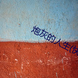 炮灰的人生(快穿) （海角天隅）